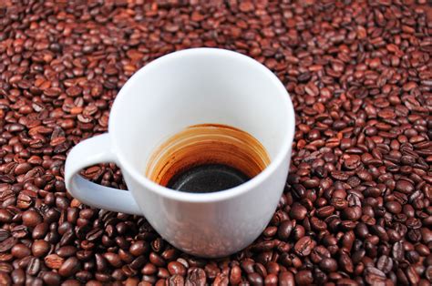 Free Images Produce Drink Espresso Coffee Cup Caffeine Coffee