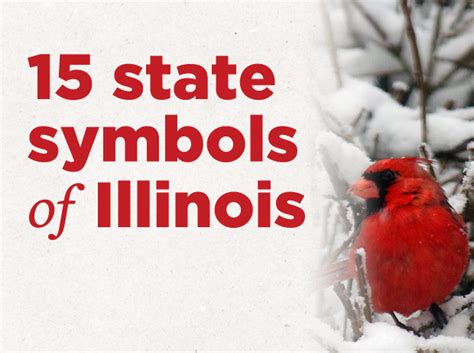 15 State Symbols Of Illinois One Illinois Legislator Wants To Make