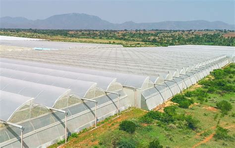 Selecting The Right Cladding Material For Greenhouses Greenpro