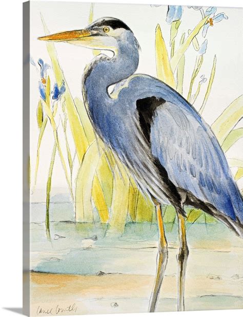 Great Blue Heron Canvas Art Print Ebay