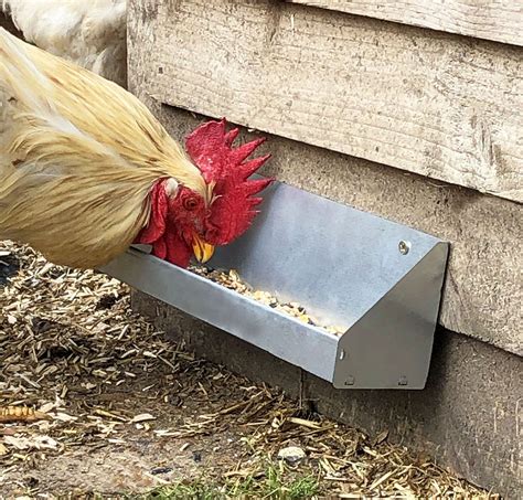 Small Wall Mounted Chicken And Poultry Trough Feeder Indoor Outdoors