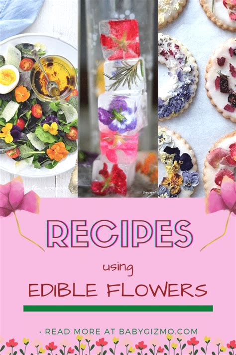 Ten Recipes Using Edible Flowers