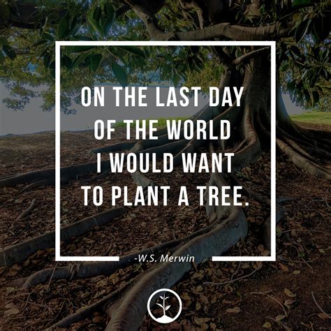 Themeseries Meaningful Quotes For Plant Lovers