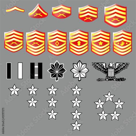 Marine Corps Rank Insignia For Officers And Enlisted Texture Stock