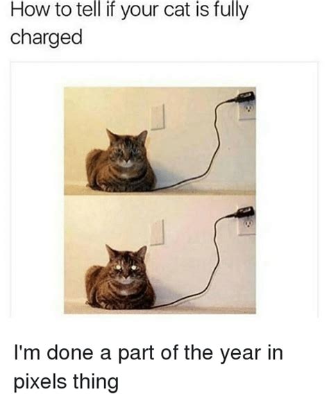 How To Tell If Your Cat Is Fully Charged Im Done A Part