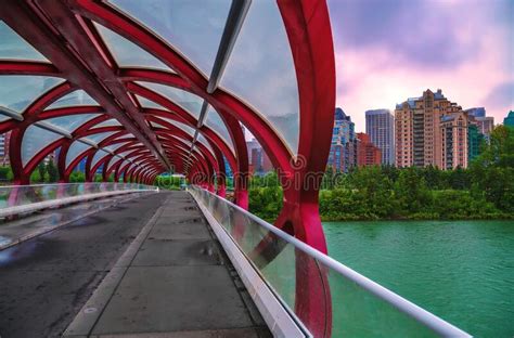 Walkway On The Peace Bridge Over The Bow River Editorial Stock Photo