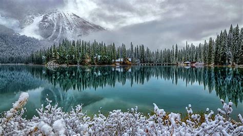 Emerald Lake Yoho Np British Columbia Snow Landscape Trees Late