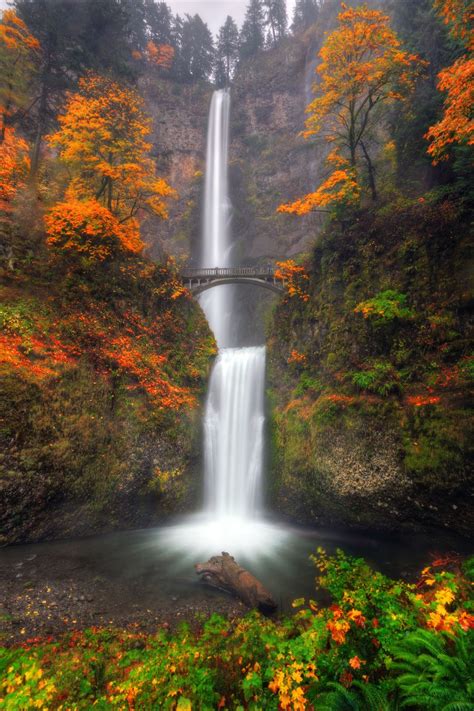Multnomah Falls With Autumn Colors Smithsonian Photo Contest