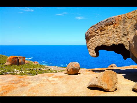 Kangaroo Island A Microcosm Of Australia Pretend Magazine