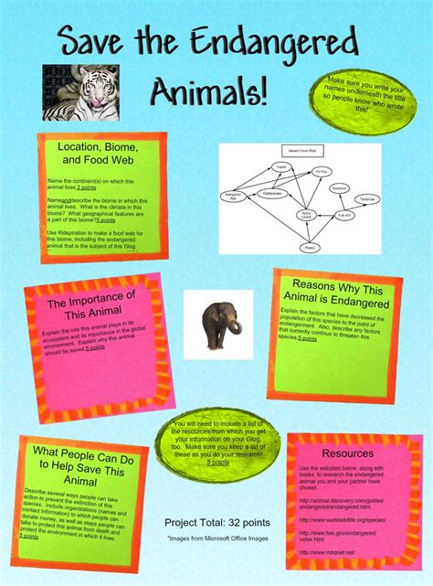 Save The Endangered Animals Endangered Animals How To Save Animals