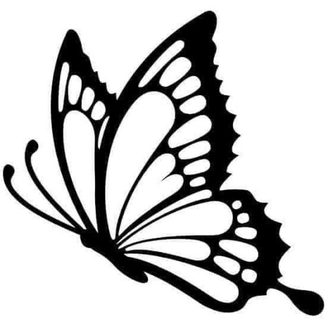 Pin By Lisa Hamilton On Cricut Butterfly Drawing Butterfly Art