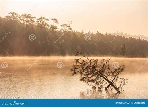 Beautiful Nature Scenic Landscape View At Peaceful Lake In The Morning