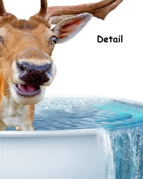 Deer Bathtub Print Buck Naked Quote Wall Art Funny Colorful Etsy