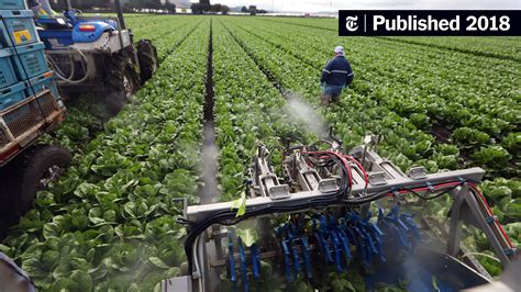 As Immigrant Farmworkers Become More Scarce Robots Replace Humans