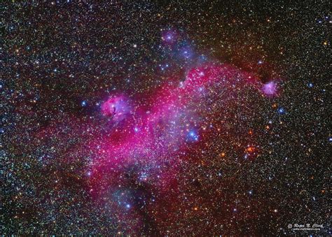 Clarkvision Photograph The Seagull Nebula And Ic 2177