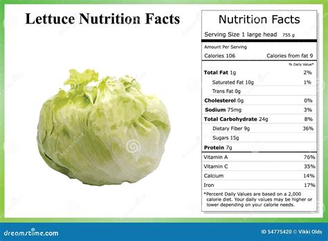 The Best 9 Romaine Lettuce Nutrition Facts Balmconzesz