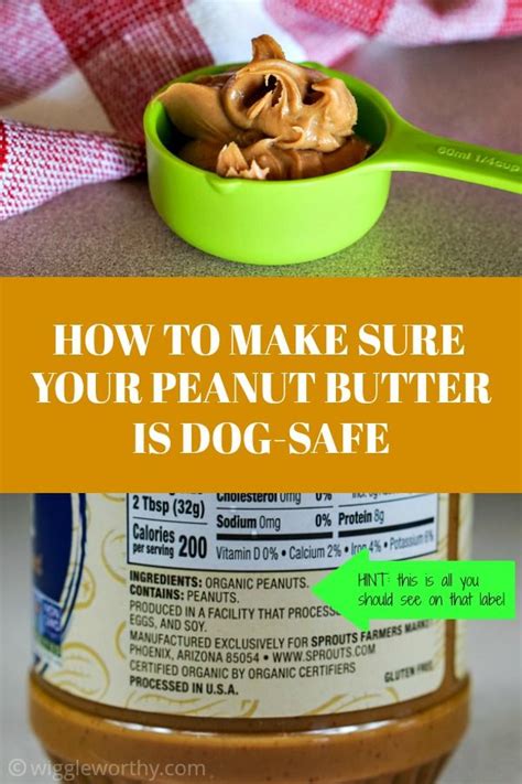 Is Great Value Peanut Butter Safe For Dogs