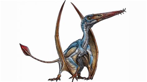 New Species Of Flying Jurassic Pterosaur Discovered Cbs News