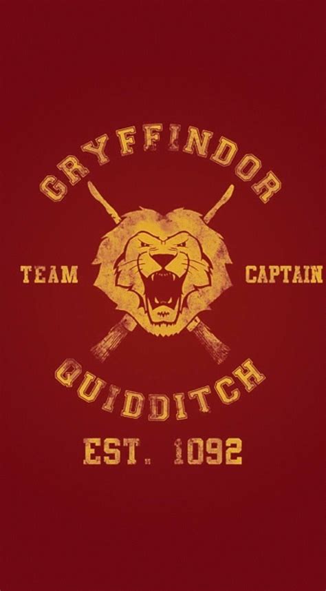 Pin By Caitlyn Mccallister On 1 Save Harry Potter Quidditch Harry