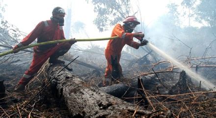 Polda Riau Buru Lima DPO Pembakar Lahan Satu Harapan