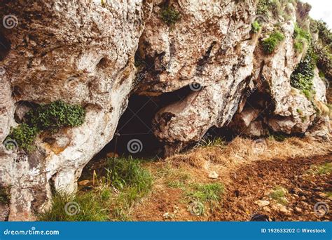 Mystical View Of A Green Covered Cave In The Daylight Stock Photo