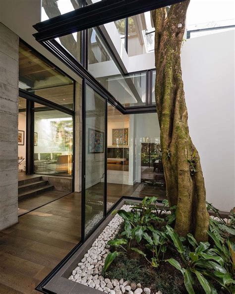 ʀᴇsᴛʟᴇss ᴀʀᴄʜɪᴛᴇᴄᴛᴜʀᴇ Tree In Middle Of House Interior Architecture
