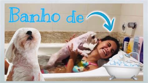 Dando Banho De Banheira No Meu Cachorro Youtube
