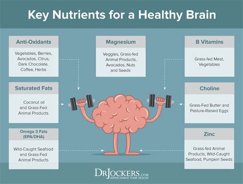 Healthy Brain Brain Food Brain Health Brain Nutrition Nutrition