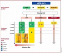 Figure 4 from 2020 ESC Guidelines for the management of acute coronary ...