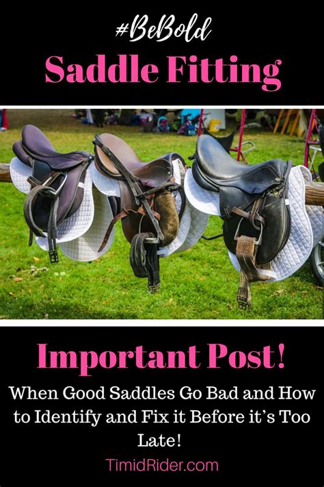 When Good Saddles Go Bad The Importance Of Saddle Fitting To Prevent