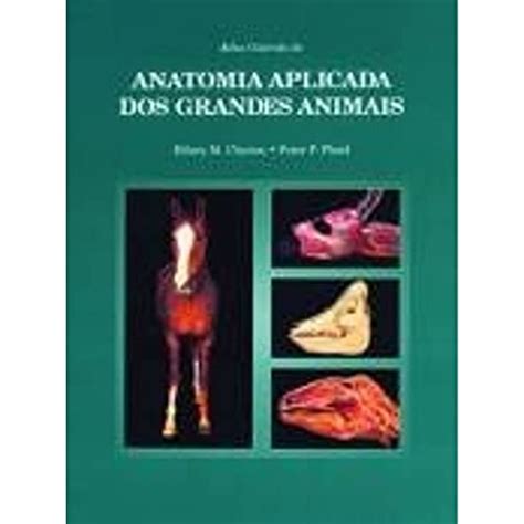 Atlas Colorido De Anatomia Aplicada Dos Grandes Animais Shopee Brasil