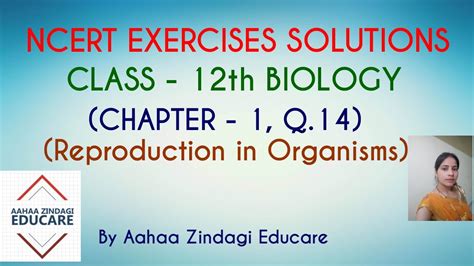 Ncert Exercises Solutions Class 12 Biology Chapter 1 Reproduction In