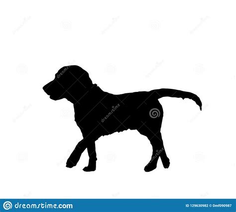 Dog Black Silhouette Isolated On White Background Vector Eps 10 Stock