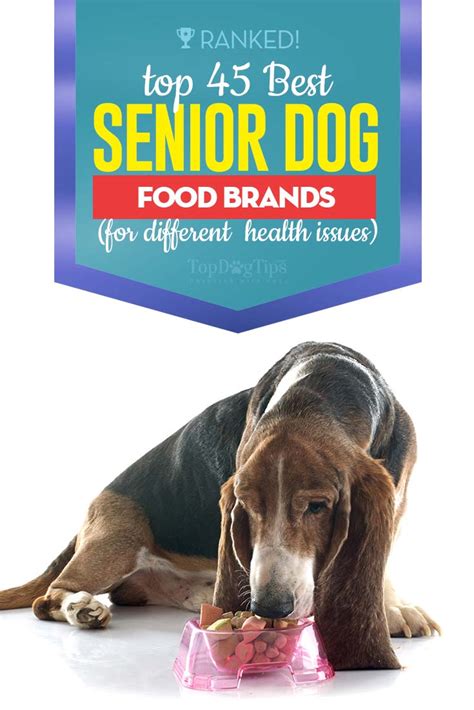 Top 45 Best Senior Dog Food Brands For Health And Longevity