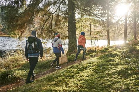 Research Shows Benefits Of Woodlands For Mental Health The Institute Of Chartered Foresters