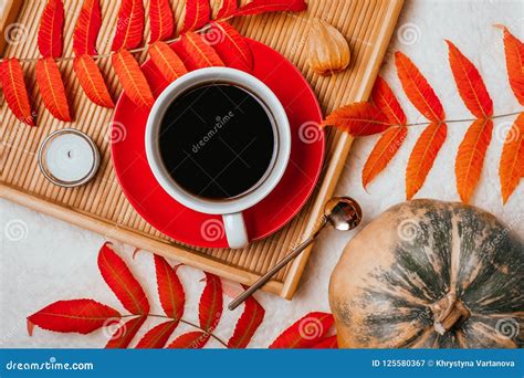 Fall Flatlay With Coffee Stock Image Image Of Dried 125580367