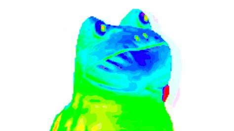 Rainbow Frog Gif Gif Images Download Vrogue Co