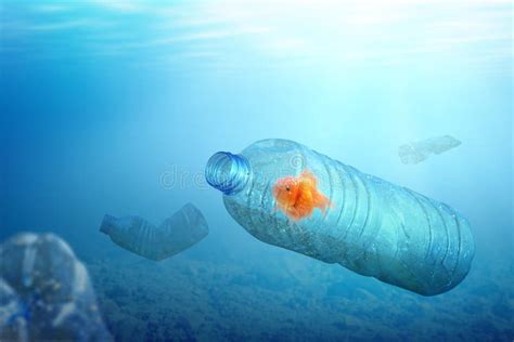 Goldfish Trapped On The Plastic Bottle On The Ocean Stock Image Image