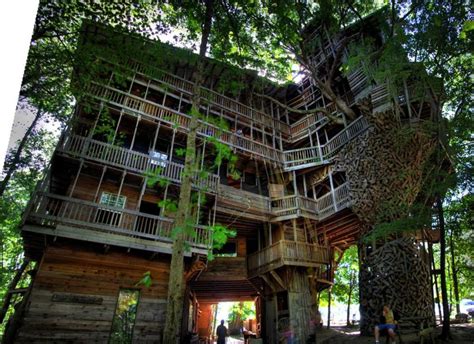 It was later climbed by stephen sillett, who the tallest tree in the uk. Benign Objects: The World's Tallest Treehouse
