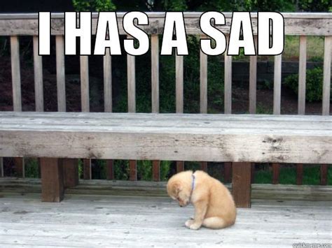 Sad Puppy Has A Sad Quickmeme
