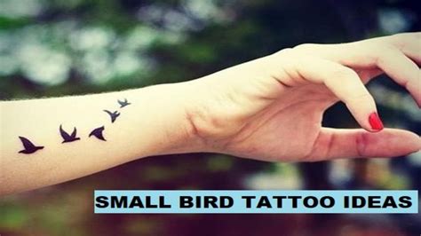 Small Bird Tattoo Ideas With Meanings New 2019 Designs Youtube