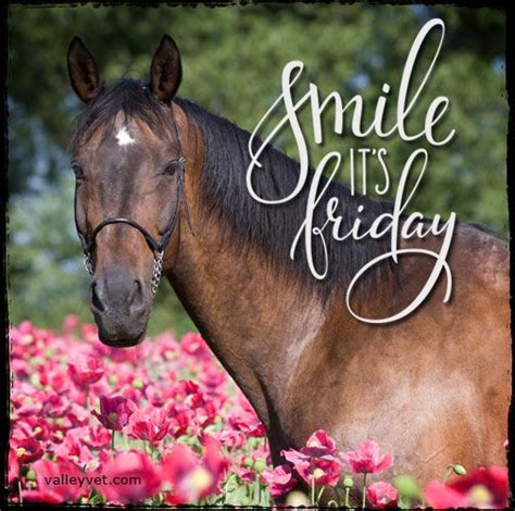 Smile Its Friday Horse Quotes Happy