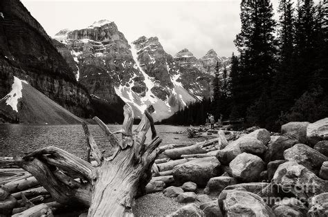 Black And White Moraine Lake Photograph By Jeremy Hunter Pixels