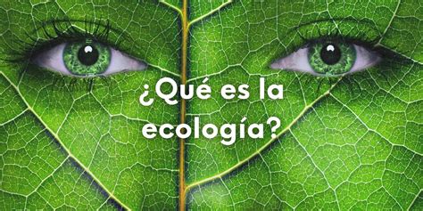 ¿qué Es La Ecología Tu Guía Completa Actualizada En 2023