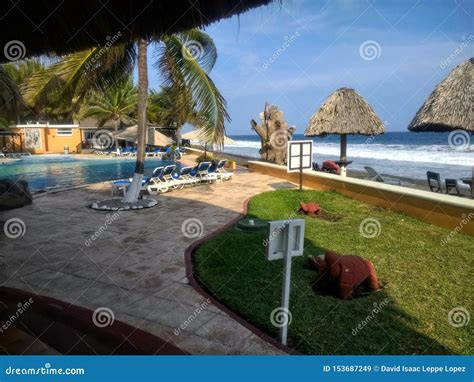 Palm Trees Mini Huts Grass The Ocean And The Pool Stock Image