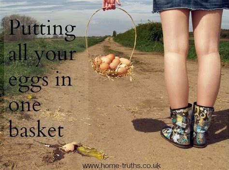 Dont Put All Your Eggs In One Basket Quote For The Wise Basket