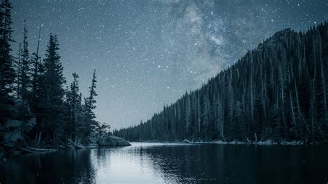 Download Wallpaper 1920x1080 River Trees Starry Sky