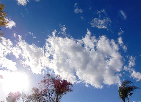 Web Of Evil And Ennui Cloud Trees Light