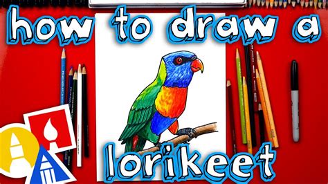 How To Draw A Realistic Rainbow Lorikeet 49