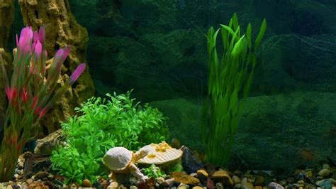 10 Best Artificial Aquarium Plants For Your Tank